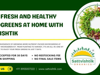 Grow Fresh and Healthy Microgreens at Home with Sattvishtik