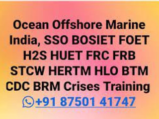 HLO BTM BRM HDA TBOSIET (Basic Offshore Safety Induction & Emergency Training)