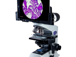 Upgrade to Magnus High-Quality Microscopes—Unmatched Quality