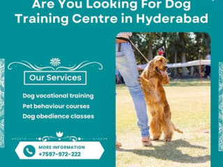 Are You Looking For Dog Training Centre in Hyderabad