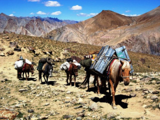 Ladakh Trekking Packages