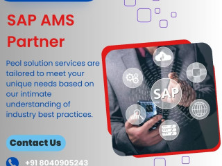 SAP AMS Partner in India