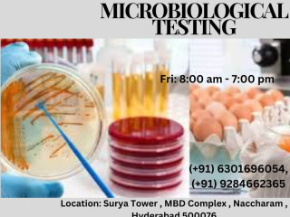 Comprehensive Microbiological Testing Services | Amplikon Biosystems