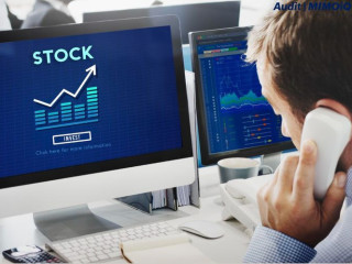 The Importance of Stock Audit Services for Business Efficiency