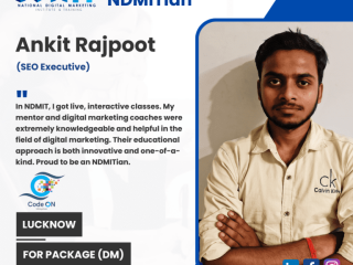 NDMIT - Online Digital Marketing Course in Lucknow