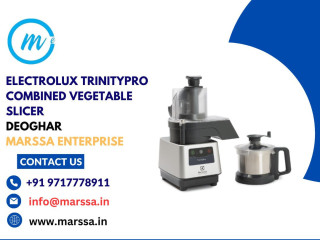 Electrolux TrinityPro Combined Vegetable Slicer Deogarh