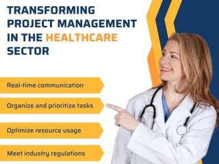 Top Healthcare Project Management Software