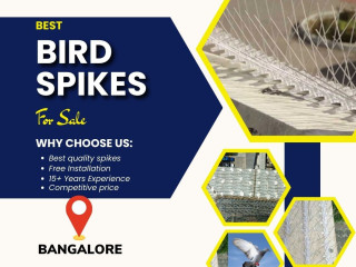 Premium Bird Spikes in Bangalore at Affordable Prices