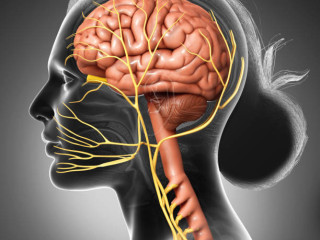 Neurology treatment in Haryana