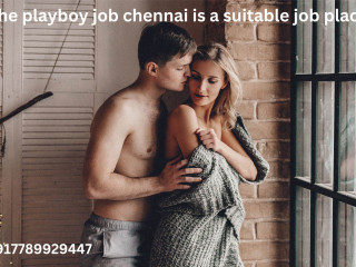 The playboy job chennai is a suitable job place