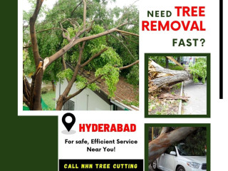 Tree Removal Services - NHN Tree Cutting Services Hyderabad