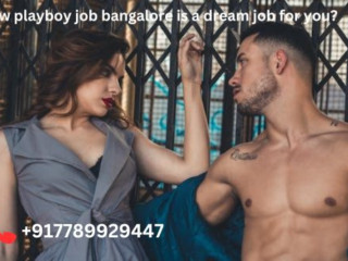 How playboy job bangalore is a dream job for you?