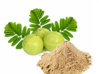 Amla Extract - Manipal Naturals