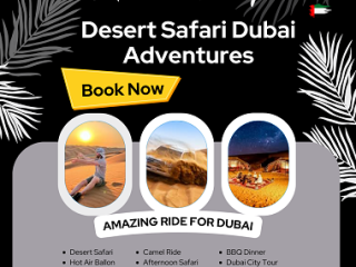 Premium Desert Safari Dubai 00971555538395