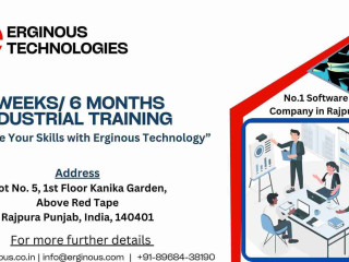 Erginous Technologies: Best Industrial Training in Rajpura