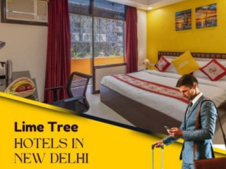 Best Hotel in New Delhi/Lime tree hotel