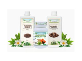 Ayurvedic Treatment For Deworming - Deworming Care Pack By Planet Ayurveda