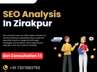 SEO analysis samdox software in zirakpur