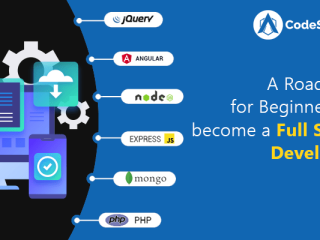 A Roadmap for Beginners to Become a Full Stack Developer