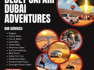 Premium Desert Safari Dubai 00971555538395