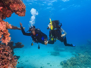 2 Dives Scuba Diving Packages in Havelock Island