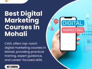 Best Digital Marketing CoursesInMohali