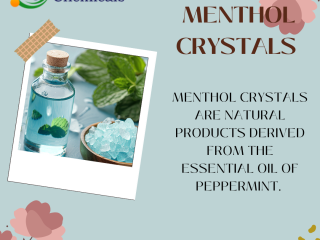 Menthol Crystals Suppliers in India