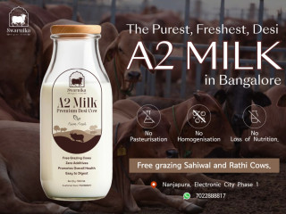 Buy A2 cow milk online In Bangalore – 100% organic