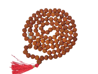 6 Mukhi Rudraksha Mala