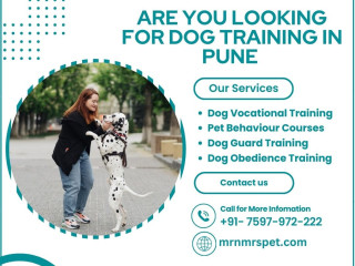 Best Dog Training in Pune