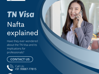 TN Visa - NAFTA professionals