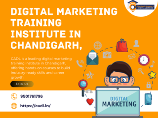 Digital Marketing Training Institute In Chandigarh