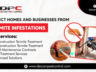 Best Termite Control Services In Hyderabad