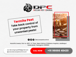 Termite Pest Control Service in Secunderabad