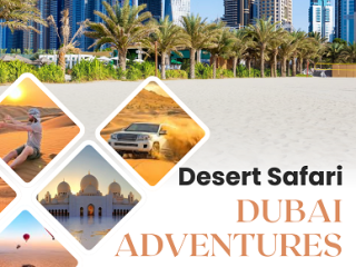 Quad Biking Ride Dubai 00971555538395