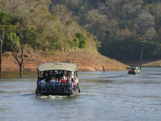 Secure Chambal River Safari for Cruise Trip and Wildlife Adventure