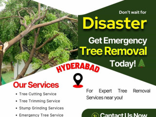 Emergency Tree Removal Services in Hyderabad - NHN Tree Cutting Services