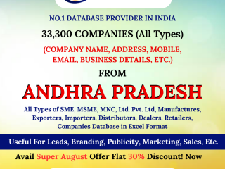 B2B Companies Database Provider in Andhra Pradesh