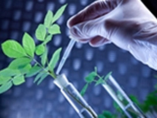 Plant Biotechnology Company India