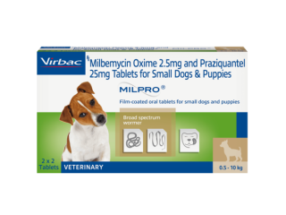 Tapeworm medicine for dogs