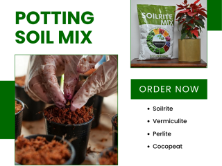 Potting Mix for Indoor Plants – Reliable and Effective