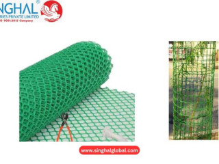 Plastic Tree Guard for Sale – Durable and Protective Solution for Your Trees