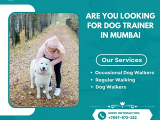 Best Dog Trainer in Mumbai at Affordable Price