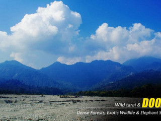 Explore the Best of Nature with a Dooars tour packages from Kolkata