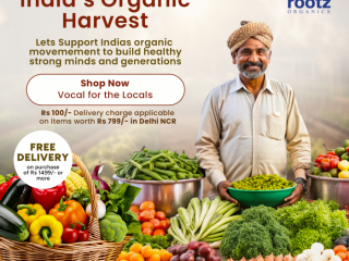 Organic Vegetables Online