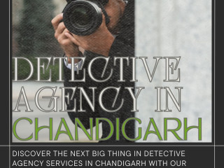 The Next Big Thing in Detective Agency in Chandigarh