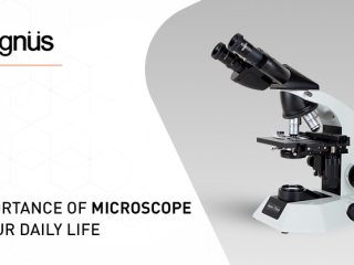 Unlock the Power of Microscopes in Everyday Life