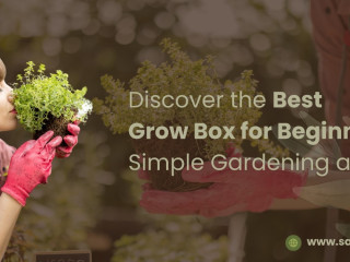 Discover the Best Grow Box for Beginners: Simple Gardening at Home!