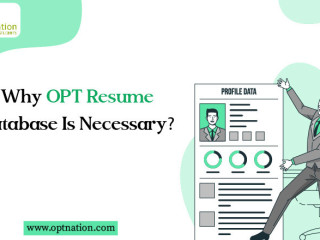 Why OPT Candidates Resume Database Is Necessary?