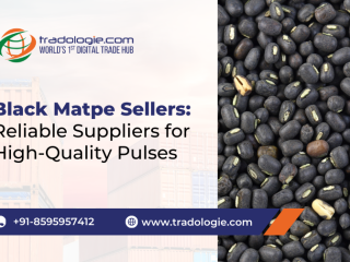 Buy Pulses in Bulk: Simplify Your Procurement Process